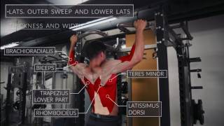 Back Essential Exercises