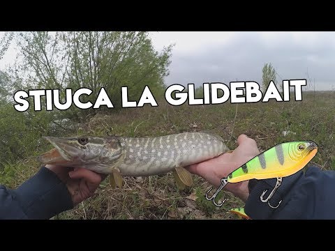 Video: Bile De Stiuca Cu Mei Si Linte