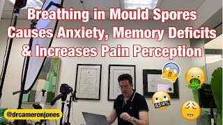 Breathing in mould spores causes anxiety, memory deficits and increases pain perception