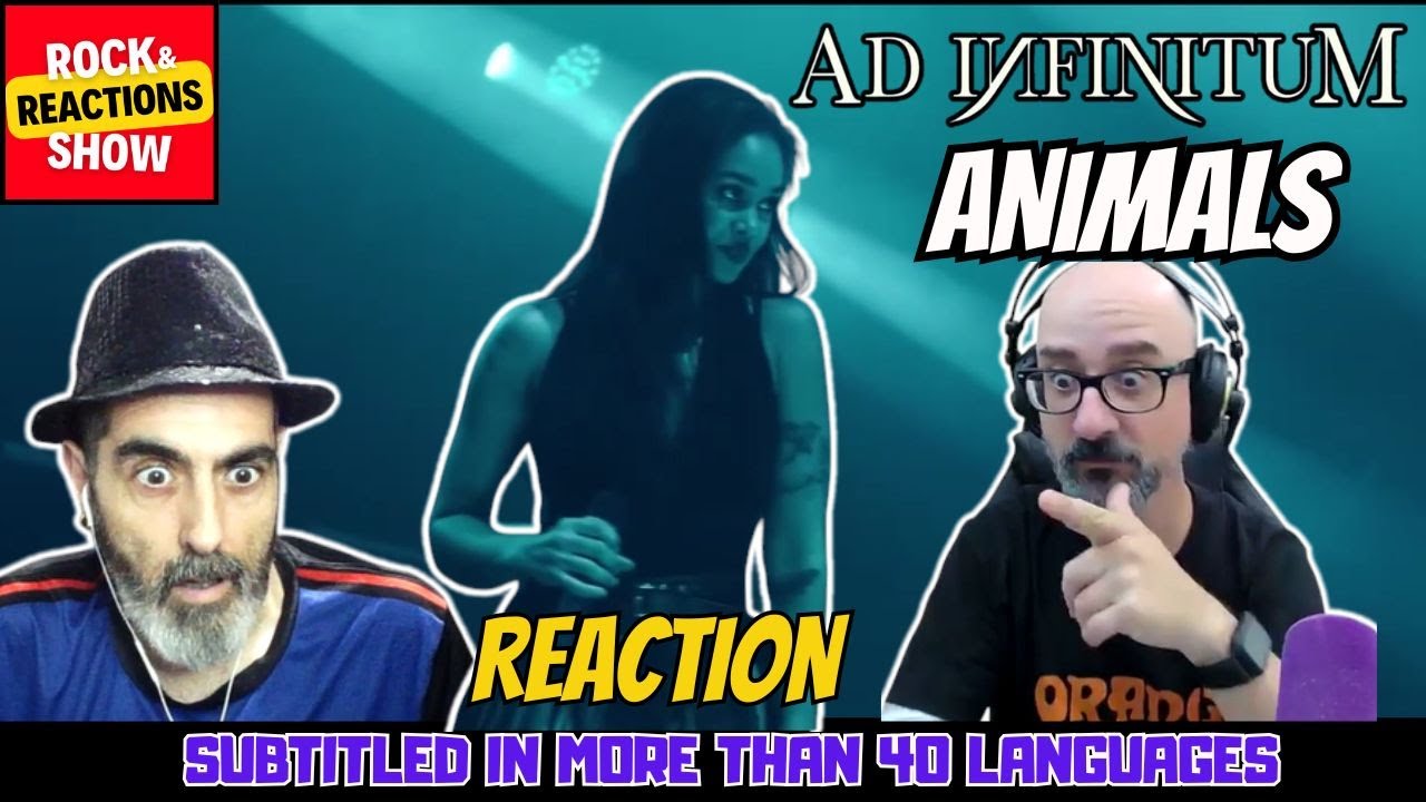 AD INFINITUM Reaction - Animals | React | Reacción |  反応 | Rock and Reactions