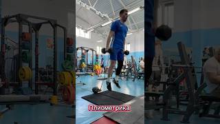 Плиометрика Plyometrics развитие прыжка увеличение прыжка #verticaljump #jumptraining #basketball
