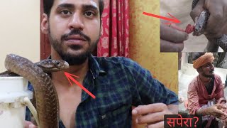 'सपेरे क्यों सिलते कोबरा का मुंह' | 'SnakeCharmer who Glued & Stitched Cobra's Mouth' by Wildly Indian 41,592 views 7 months ago 8 minutes, 44 seconds