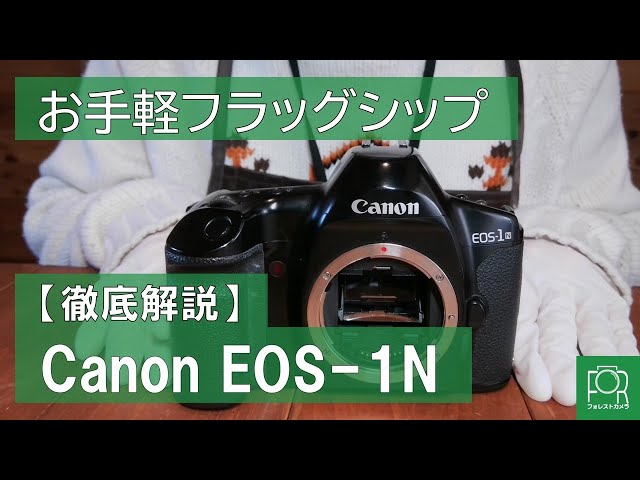 初めてのフィルム一眼に最適】Canon EOS-1Nを解説【フラグシップ