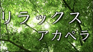 【アカペラBGM】リラックスしたい時に聴くアカペラ【作業用BGM】【Selected by Yudai 】