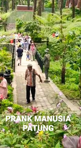 Prank Manusia patung di hutan Pinus limpakuwus purwokerto