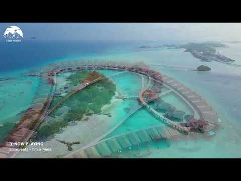 Avicii Dua Lipa Coldplay Martin Garrix Kygo The Chainsmokers Style Summer Vibes 155