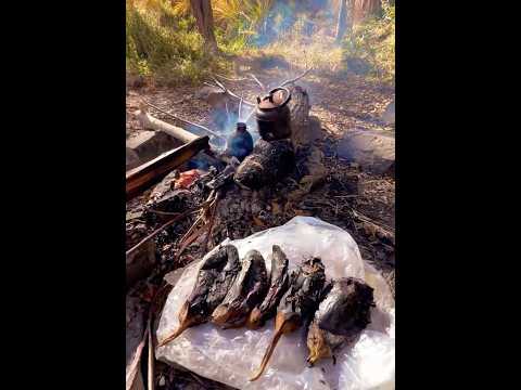       بادمجون کبابی      