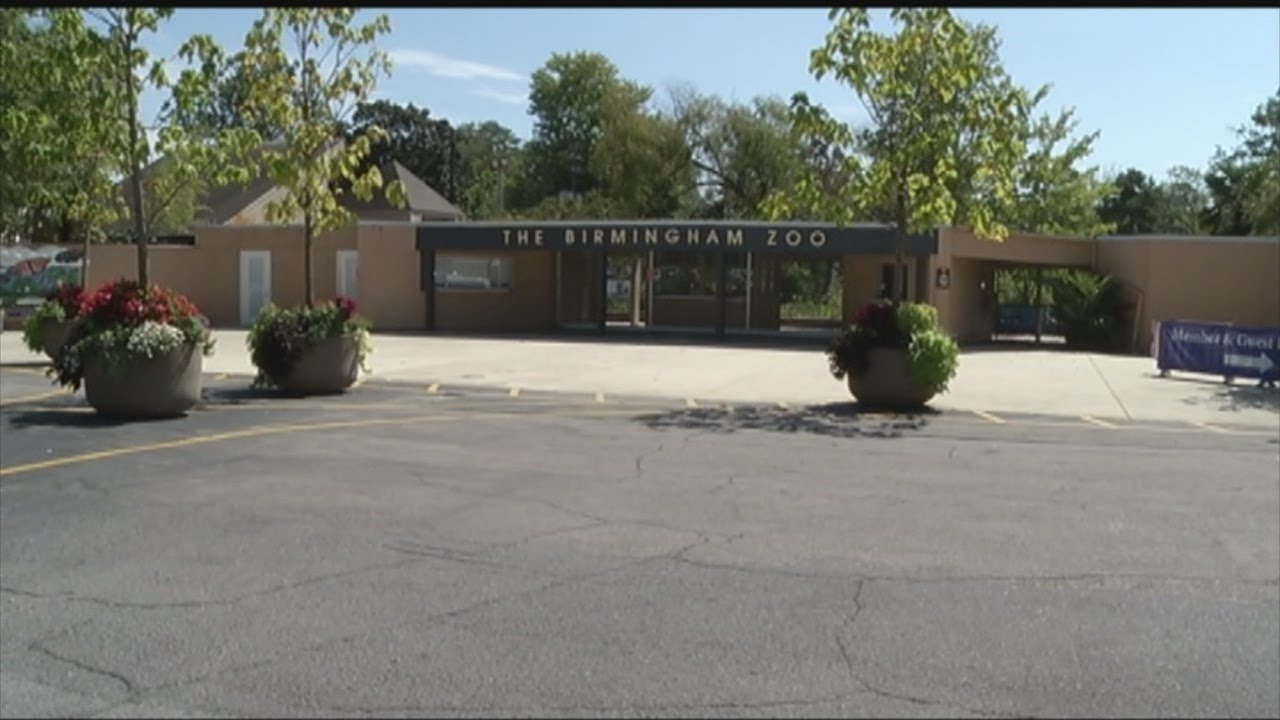 Wild snake bites child at Birmingham Zoo