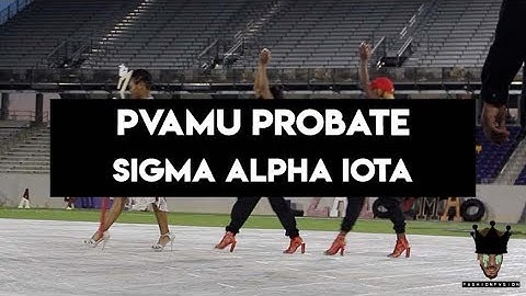 PVAMU 2019 Probate Video Sigma Alpha Iota