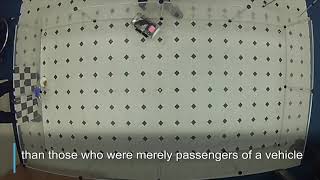 Scientists successfully train rats to drive tiny cars