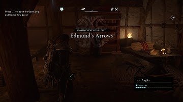 Edmund’s Arrows | Assassin