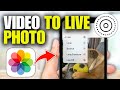 How To Convert Video To Live Photo In IPhone Updated 