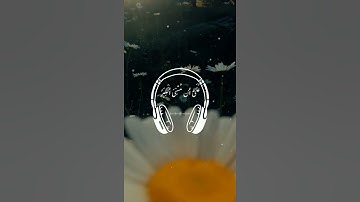 اسلام صبحي | حالات واتس اب - انستا | قرآن كريم 💛