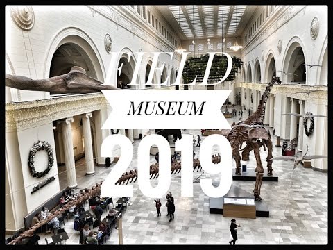 field-museum-tour-2019#chicago#dinosaurs