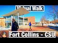 Walking Tour for Treadmill - Colorado State University - Fort Collins, CO - City Walks Virtual Walks