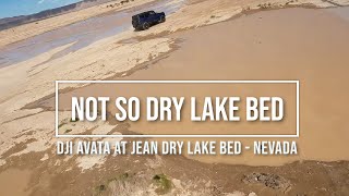 Not So Dry Jean Dry Lake Bed