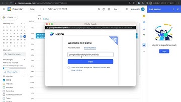 Feishu Meeting demonstration video