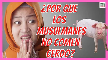 ¿Pueden los musulmanes comer ternera?