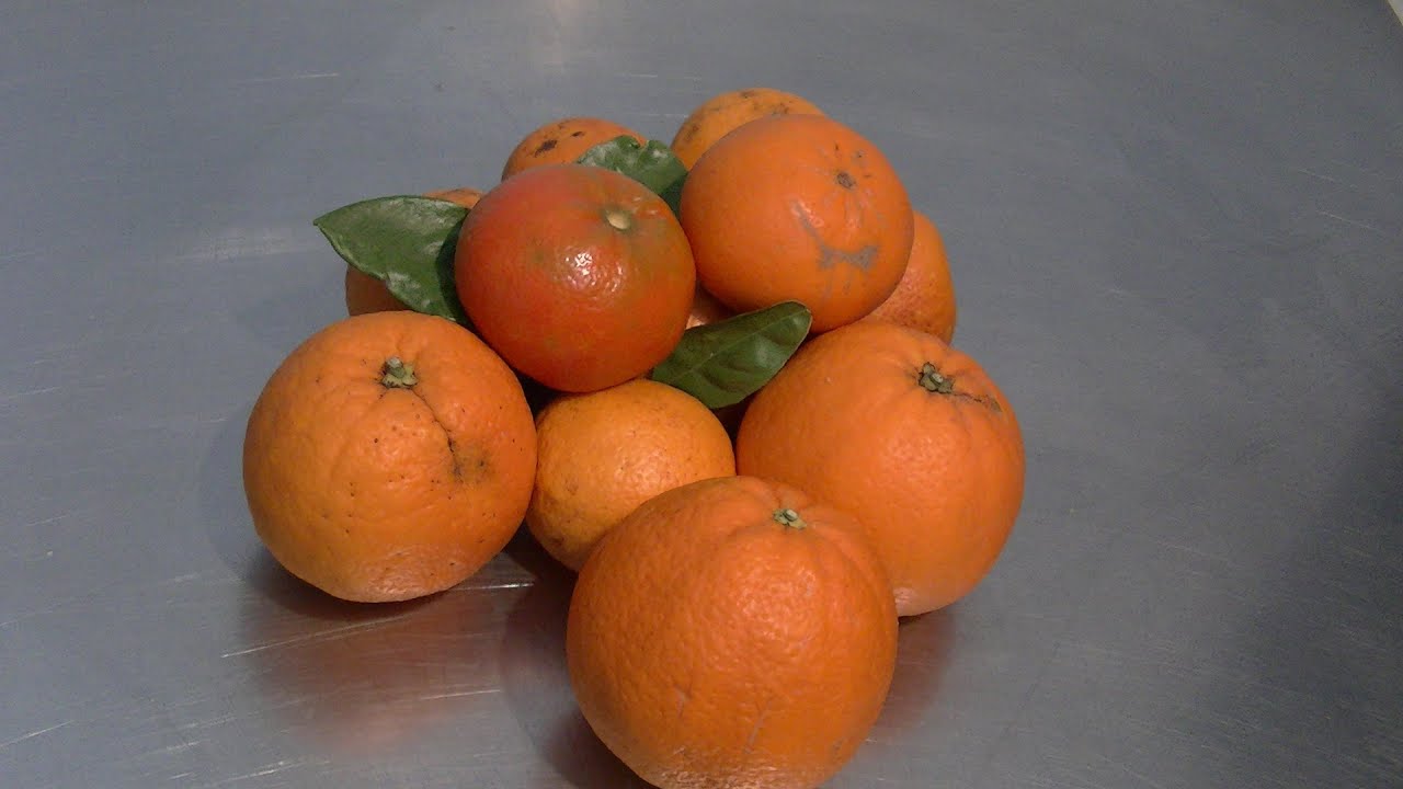 PASTA AROMATICA AGLI AGRUMI BY PASTRY CHEF GIUSEPPE DEIANA