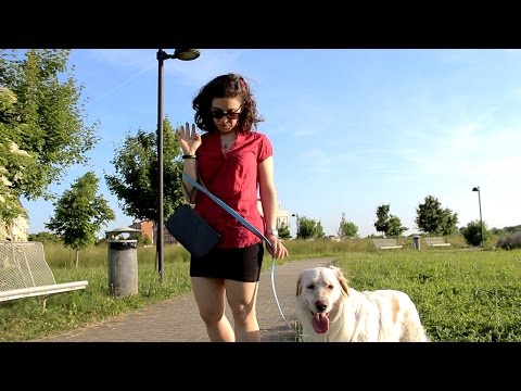 Video: Raccogli Quella Cacca Di Cane O Fatti Rintracciare Tramite Il DNA! - Rete Matador