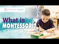 Child Development: What is Montessori Method of Teaching And Education- By Tim Seldin