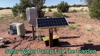 Solar Water Pump for Garden by Poe Homestead - AZ Offgrid 144 views 11 months ago 11 minutes, 3 seconds