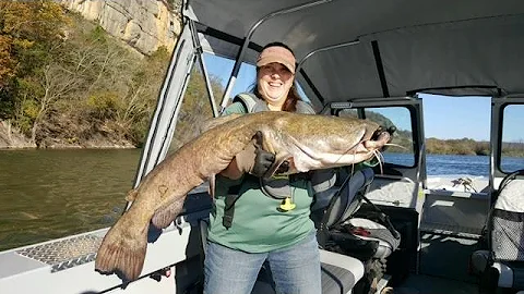 Captain Cindy Catches A Nice Lake Wheeler Flathead!!