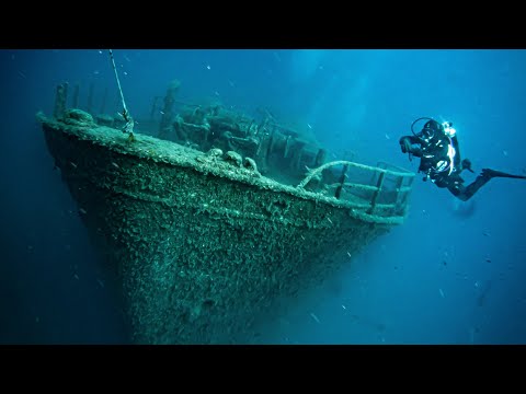 Tauchen in Kroatien, Baska 2022 Squatina Diving