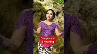 Campursari Srihuning #langgamcampursaribassgler#shortscampursari