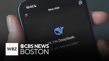 New Chinese AI company DeepSeek sends American investors into panic with new technology