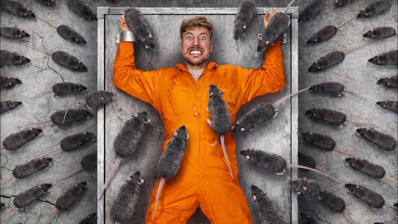 Can You Face Your Biggest Fear for $800,000?