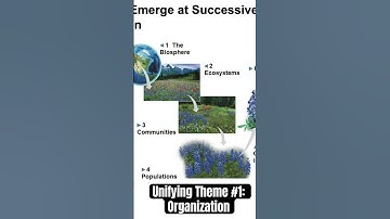 Unifying theme #1: Organization and emergent properties - see full lecture! #biology #college