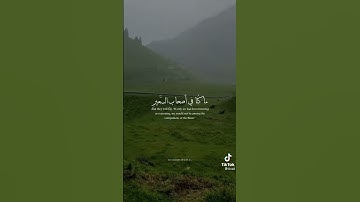 تلاوة خاشعة | القارئ عبد العزيز سحيم #قرآن #قرآن_كريم #قران #قران_كريم