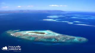 LA NOUVELLE CALEDONIE - L' INFO DES ILES -https://www.world-islands.fr/