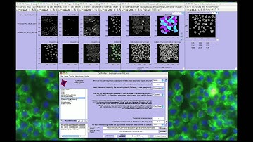 CellProfiler: Getting Started