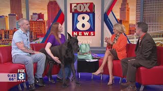 Meet the local Great Dane heading to Westminster Dog Show
