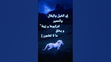 تلاوة عذبة للقارئ #خالد_الجليل 🫀🫀#القرآن_الكريم #اكسبلور #reels  #quotes #قرآن  #quran #islam #duet