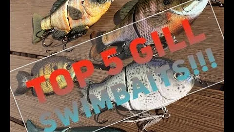 Top 5 Gill Swimbaits PART 1.)