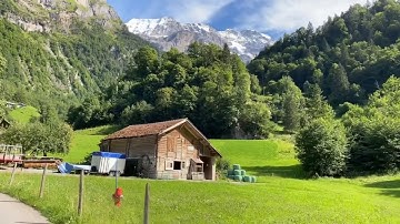 يا أيها الذين آمنوا قوا انفسكم واهليكم نارا تلاوة خاشعة الشيخ بيشة او قادر الكردي /روائع القراءات