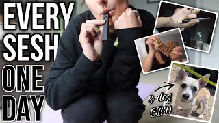 HOW MUCH WEED I SMOKE IN A DAY | lots of seshes and doggy cbd for oliver!