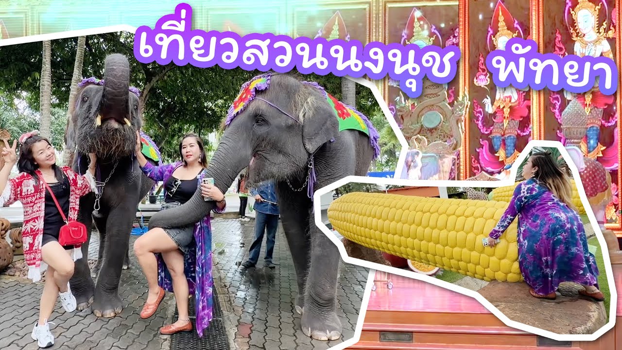 ทุลักทุเลที่....สวนนงนุช พัทยา