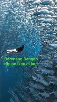 Download lagu Menembus Samudra Perak #KeajaibanLaut #DuniaBawahLaut #OceanWon