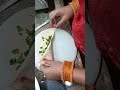 Dhaniyapati protha recipe viraltrending shorts cookwithparul cookingshooking cookwith 