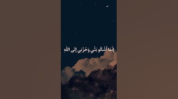 ايات من القرآن الكريم #اكسبلور #المصحف #الجزائر #لايك #تيك_توك #ترند #الرحمن #تلاوة_خاشعة