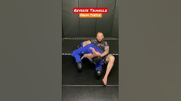 REVERSE TRIANGLE  CHOKE From Turtle