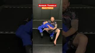 REVERSE TRIANGLE  CHOKE From Turtle