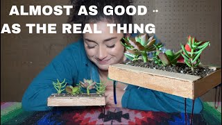 MAKING A SUCCULENT PLANTER