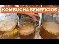 BENEFICIOS de la KOMBUCHA | té fermentado