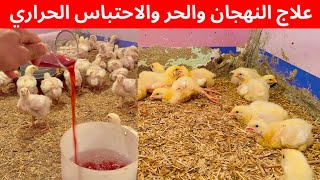 علاج النهجان والاحتباس الحراري والوقايه من حر الصيف ورفع الحيويه مع الدكتور