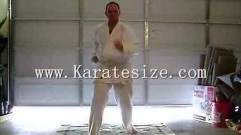Karate Mid-Block / Reverse Punch